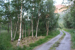 KJERRINGØY-LAND-ART-BIENNALE-2009  2